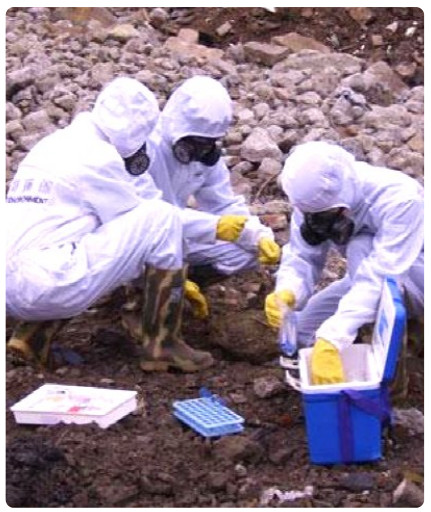 土壤和底泥污染物浓度检测，危险固废鉴定及生物毒性分析